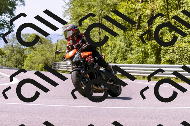 202509061130-_DSC8504_d1_