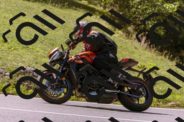 202509061130-_DSC8506_d1_