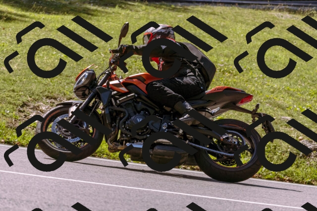 202509061130-_DSC8507_d1_