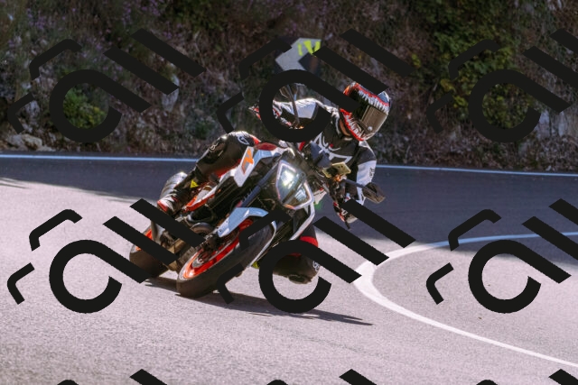 202509061132-_DSC8511_d1_