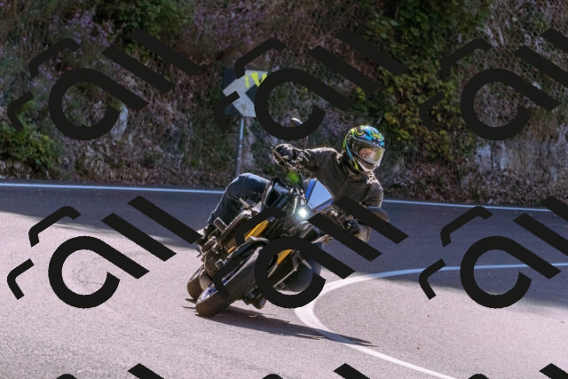 202509061133-_DSC8512_d1_