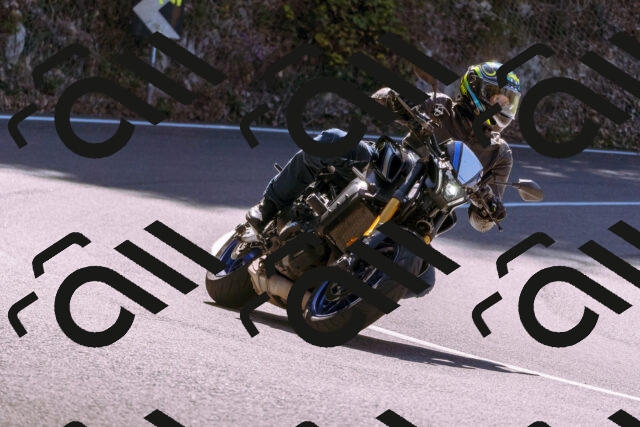 202509061133-_DSC8513_d1_