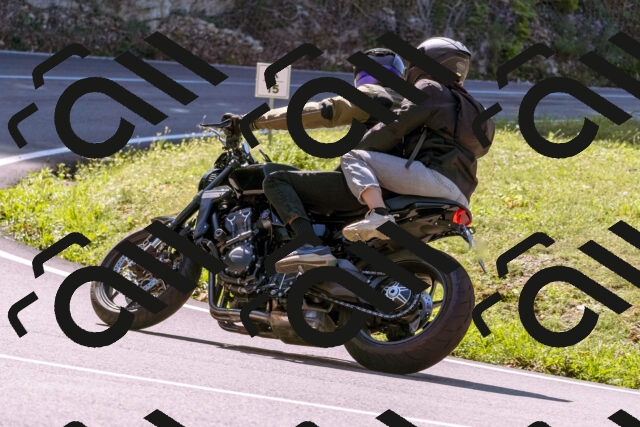 202509061134-_DSC8526_d1_