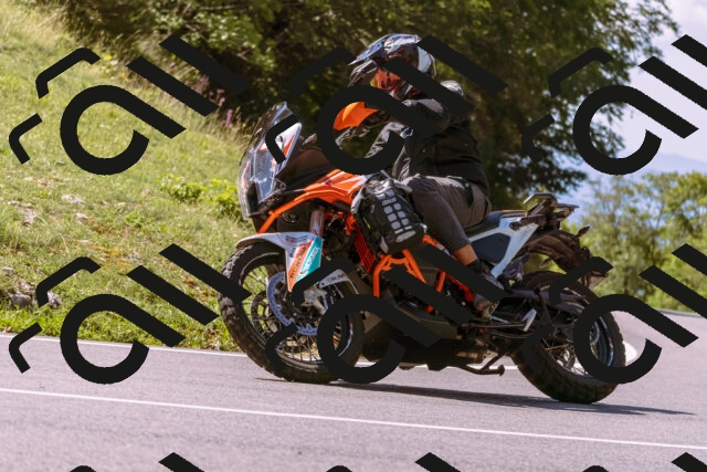 202509061134-_DSC8528_d1_