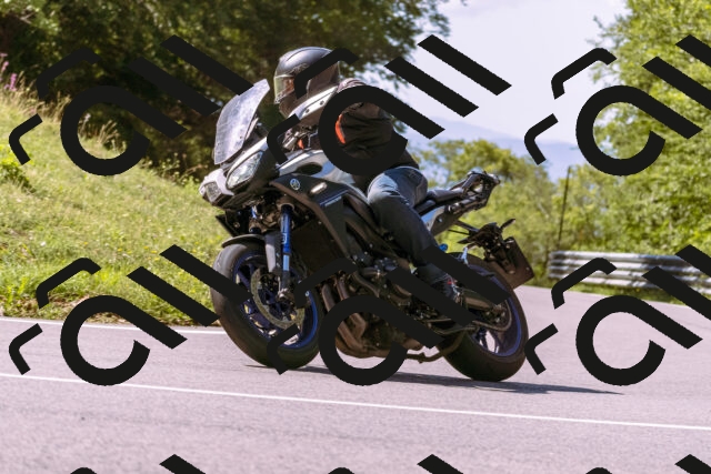 202509061134-_DSC8529_d1_