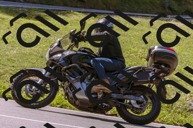 202509061134-_DSC8533_d1_