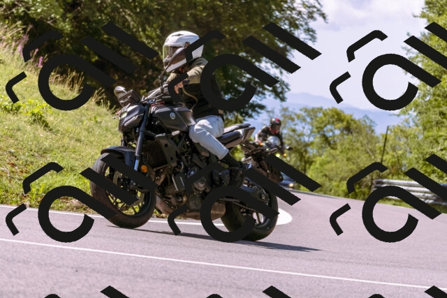 202509061134-_DSC8537_d1_