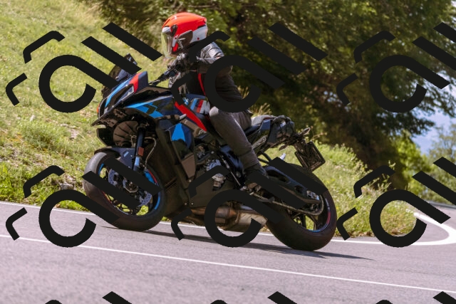 202509061136-_DSC8548_d1_