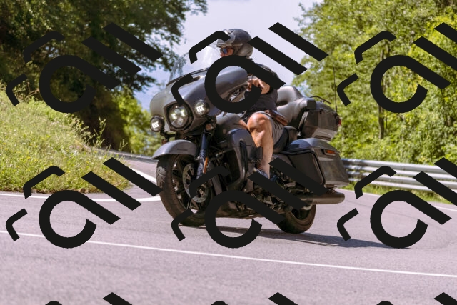 202509061136-_DSC8551_d1_