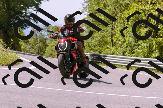 202509061137-_DSC8553_d1_