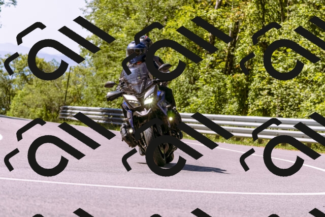 202509061137-_DSC8555_d1_