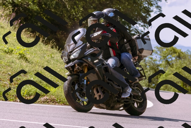 202509061137-_DSC8559_d1_