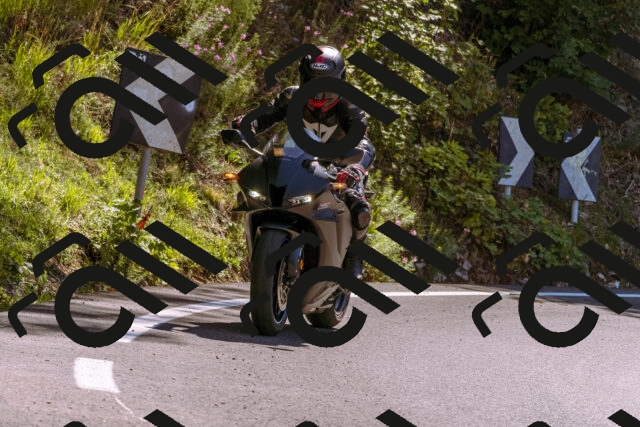 202509061139-_DSC8567_d1_