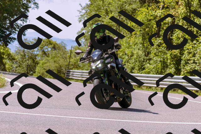 202509061141-_DSC8572_d1_