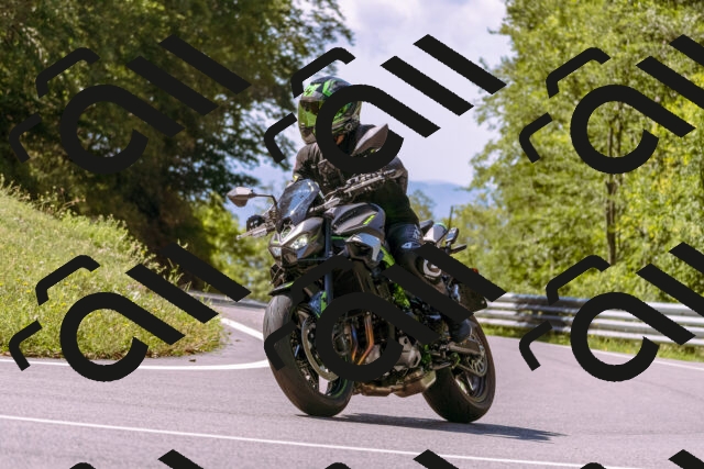 202509061141-_DSC8573_d1_