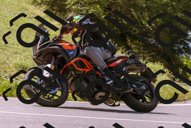 202509061143-_DSC8582_d1_