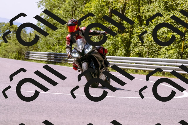 202509061147-_DSC8583_d1_