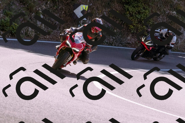 202509061148-_DSC8586_d1_