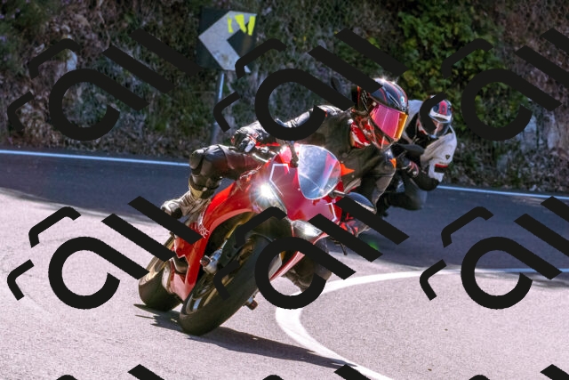 202509061148-_DSC8587_d1_