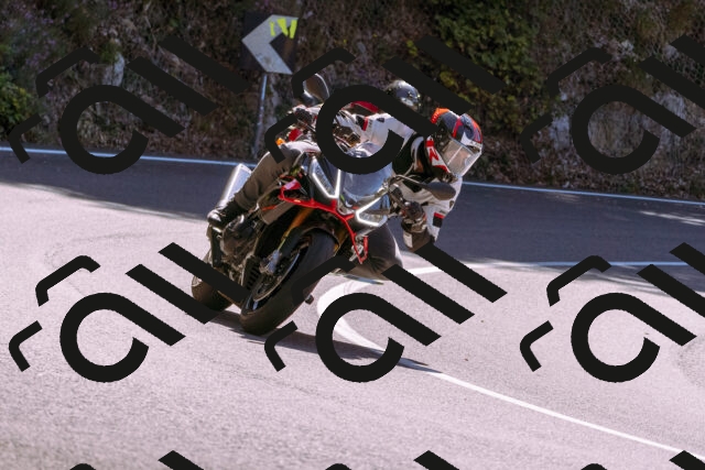 202509061148-_DSC8589_d1_