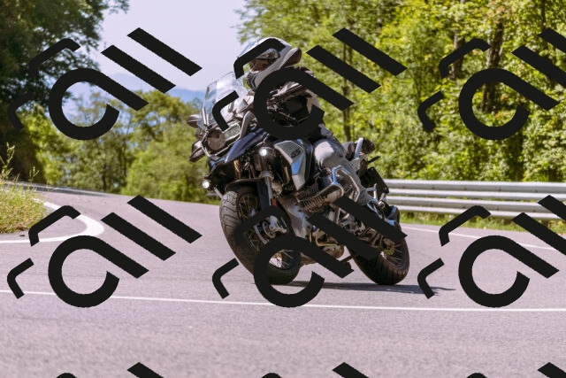 202509061149-_DSC8593_d1_