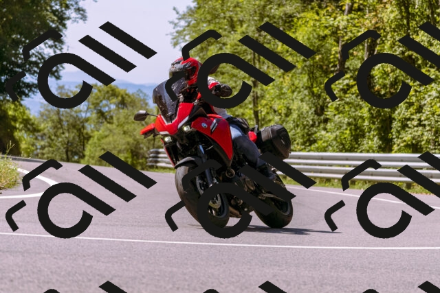 202509061153-_DSC8602_d1_