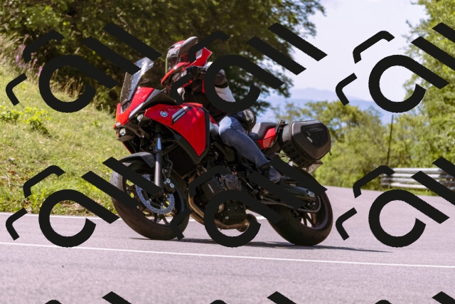 202509061153-_DSC8603_d1_