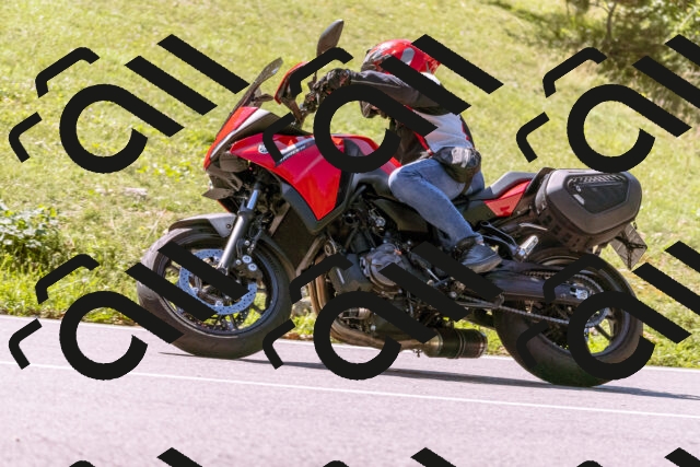 202509061153-_DSC8604_d1_