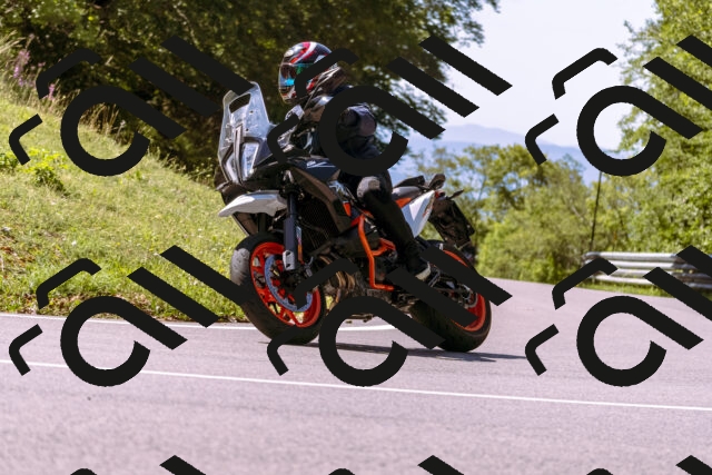 202509061153-_DSC8606_d1_