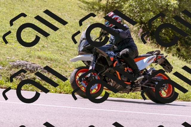 202509061153-_DSC8607_d1_