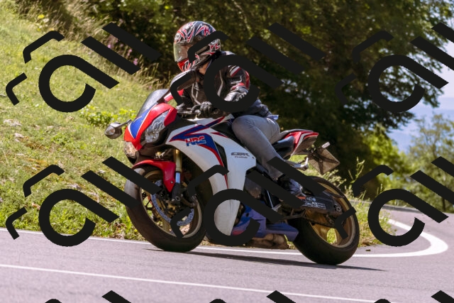 202509061153-_DSC8608_d1_