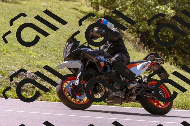 202509061153-_DSC8611_d1_