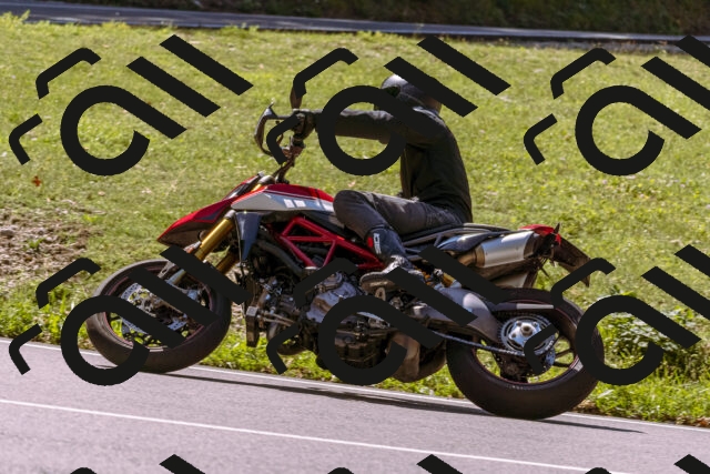 202509061155-_DSC8623_d1_