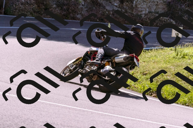 202509061155-_DSC8625_d1_