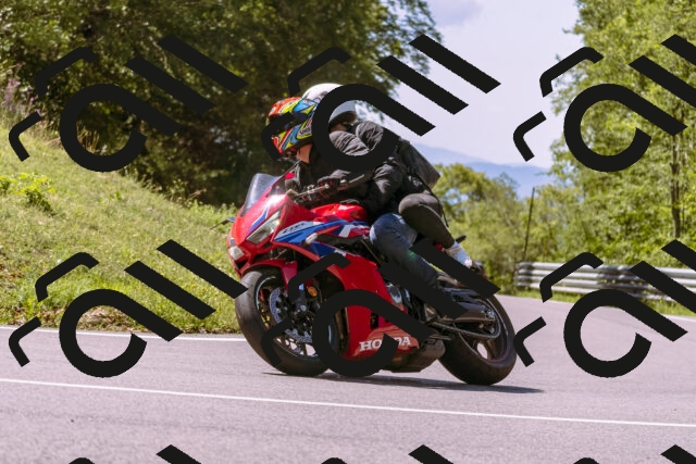 202509061155-_DSC8630_d1_