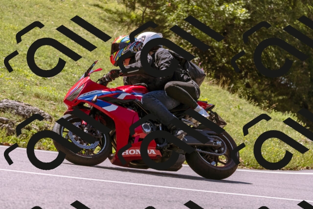 202509061155-_DSC8631_d1_