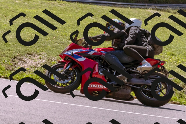 202509061155-_DSC8632_d1_