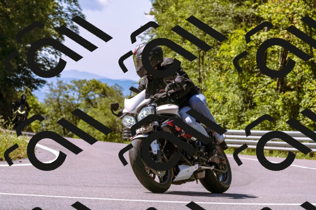 202509061157-_DSC8636_d1_