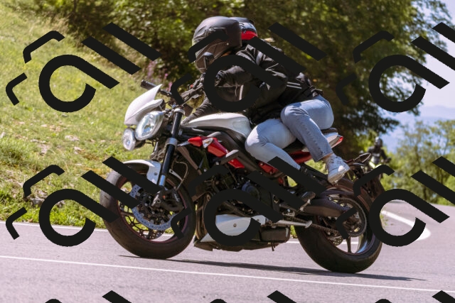 202509061157-_DSC8637_d1_