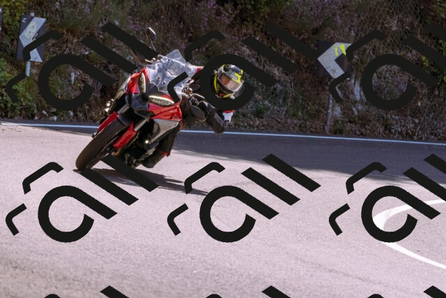 202509061158-_DSC8651_d1_