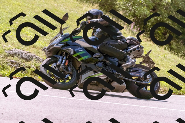 202509061158-_DSC8664_d1_