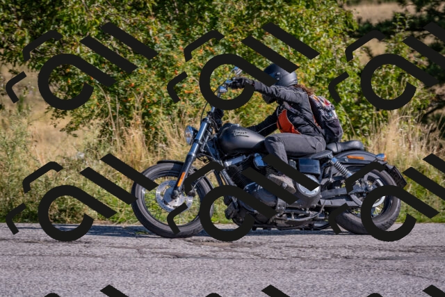 202509061002-DSC_8289_c4_