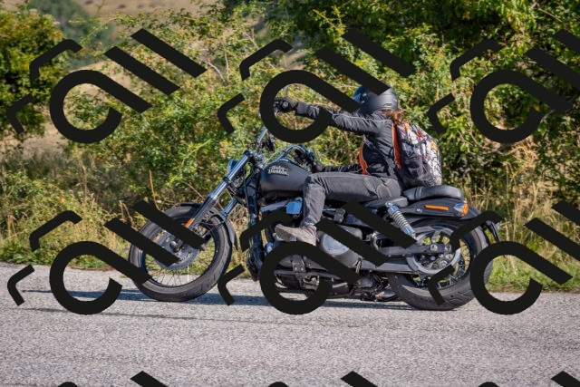 202509061002-DSC_8290_c4_