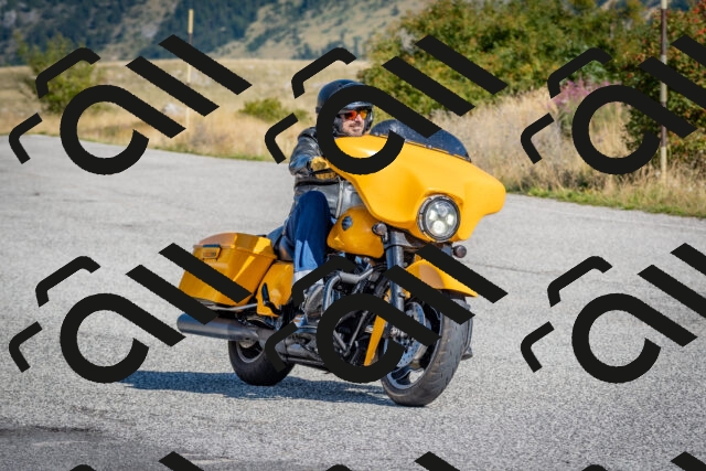 202509061006-DSC_8297_c4_