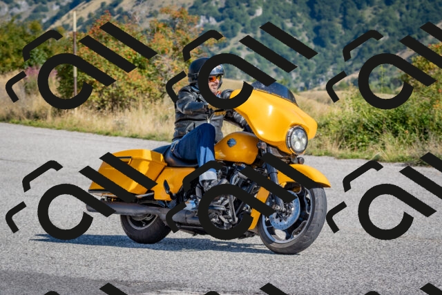 202509061006-DSC_8298_c4_