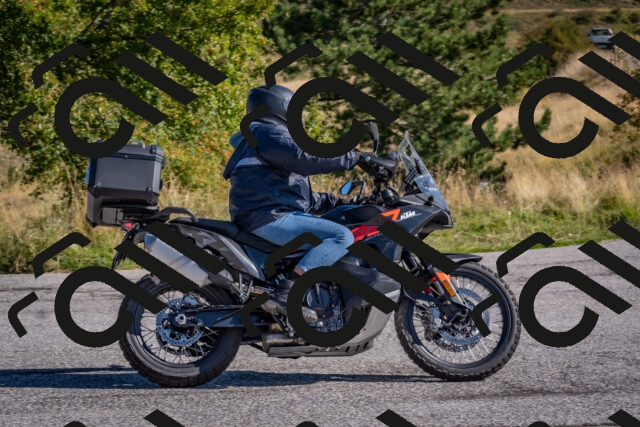 202509061007-DSC_8324_c4_