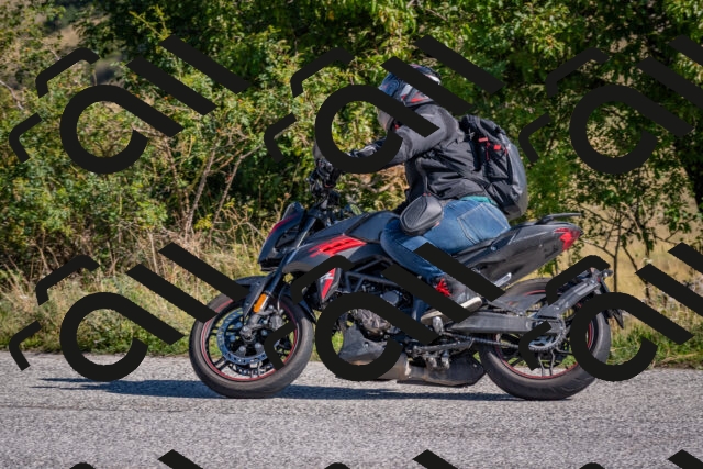 202509061014-DSC_8342_c4_