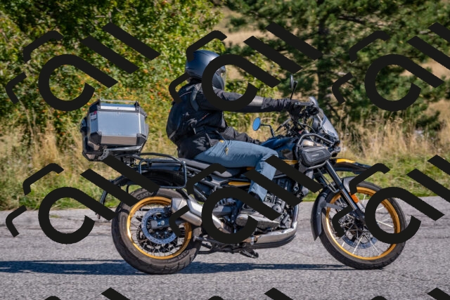 202509061014-DSC_8347_c4_