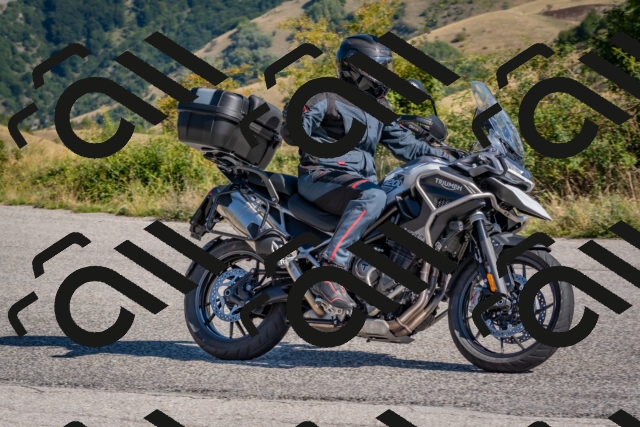 202509061020-DSC_8348_c4_