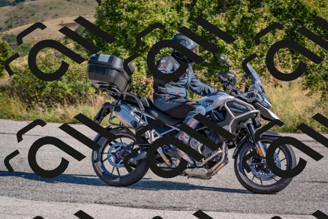 202509061020-DSC_8349_c4_